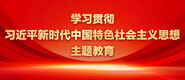 BB日BB学习贯彻习近平新时代中国特色社会主义思想主题教育_fororder_ad-371X160(2)